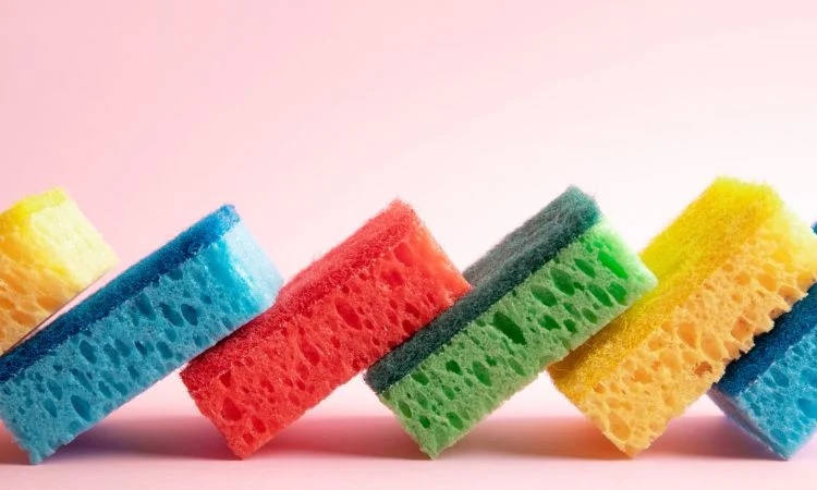 اسفنج